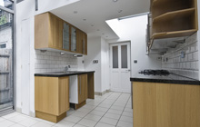 Diptford kitchen extension leads
